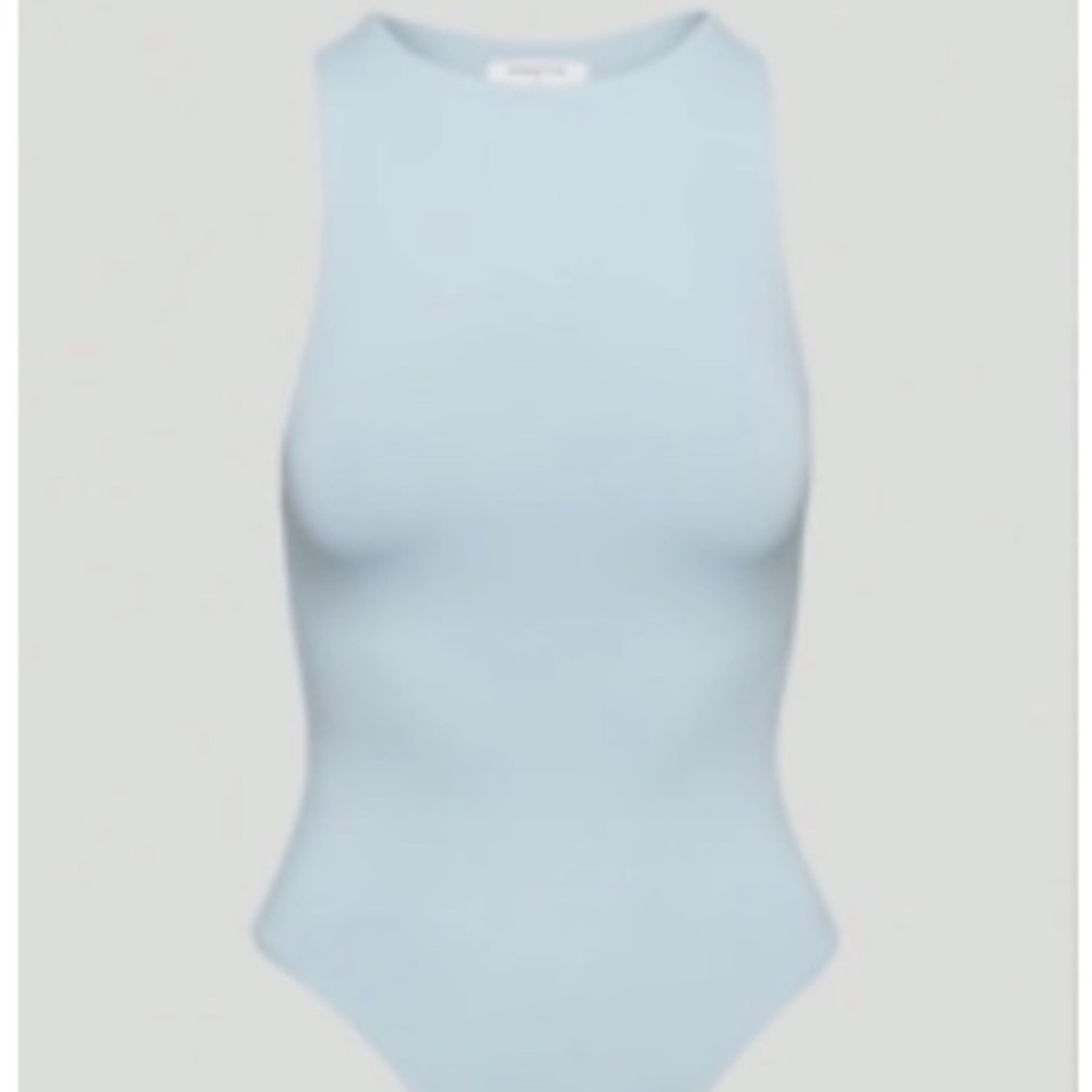 Babaton Aritzia Women's Light Bodysuit
